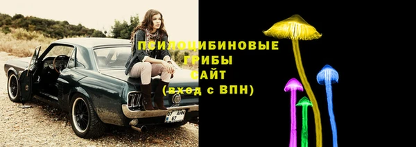 молекула духа Алексеевка