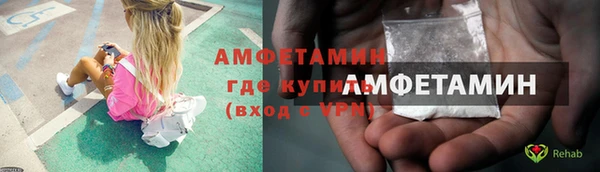 молекула духа Алексеевка