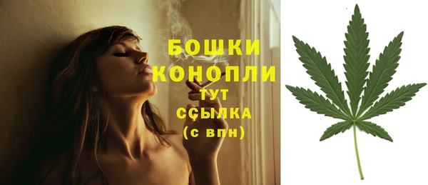 трава Алексин