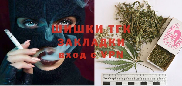 молекула духа Алексеевка