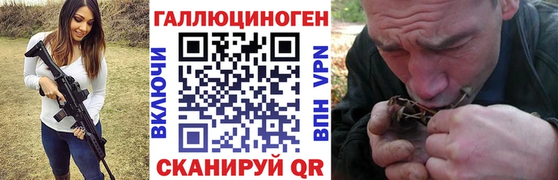 Псилоцибиновые грибы Psilocybe Белебей